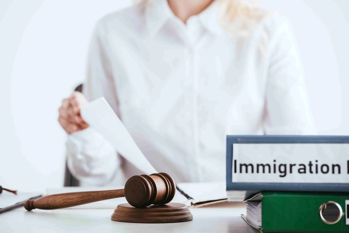 Extensive support for government immigration agency services